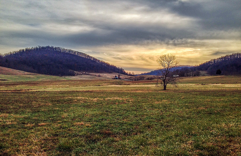 Winter afternoon, near Washington, VA