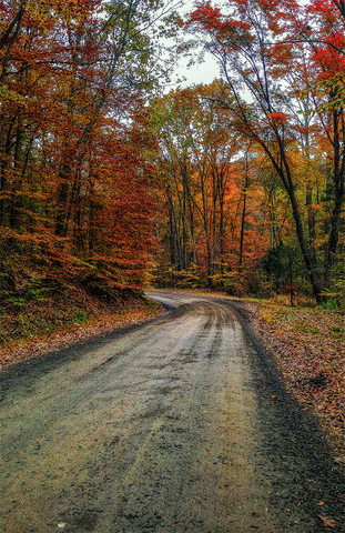 Autumn on a Fauqier County backroad