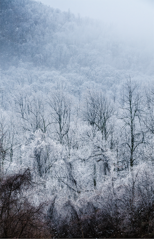 Snow & ice, Shenandoah