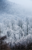 Snow & ice, Shenandoah