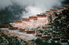 Steps to the Potala, Lhasa